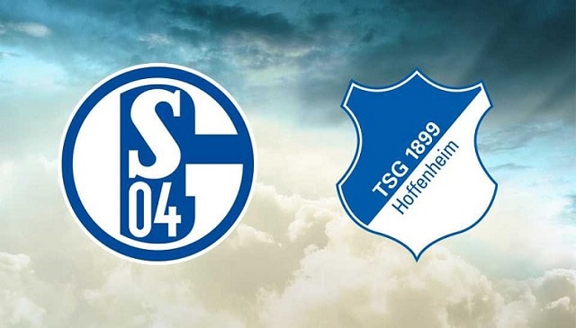 Soi kèo bóng đá 88FUN trận Schalke vs Hoffenheim, 21:30 – 09/01/2021