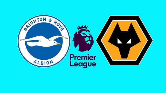 Soi kèo bóng đá 88FUN trận Brighton vs Wolves, 02:30 - 16/12/2021